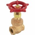 Proline 1-1/4 In. FIPS x 1-1/4 In. FIPS Forged Brass Gate Valve 100-206NL